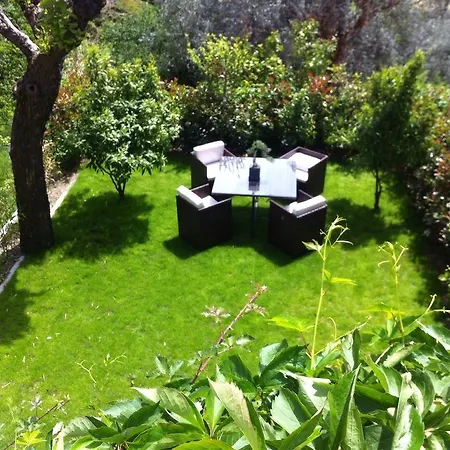 Lodge Livesi
