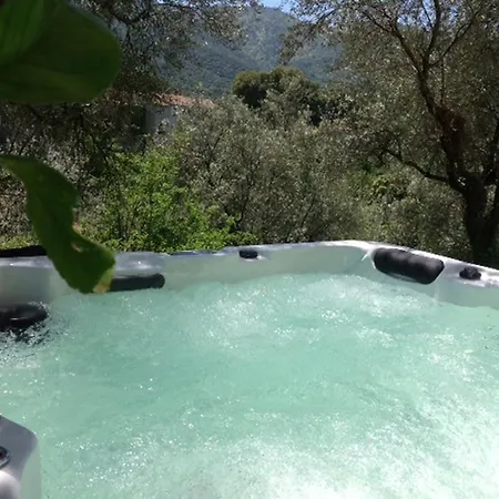 Livesi Olivese